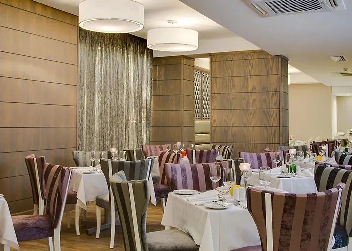 Anew Hotel Hatfield Pretoria